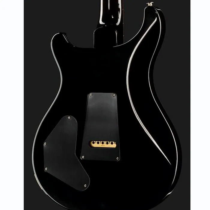 PRS PRS DGT Moons BW – photo 7