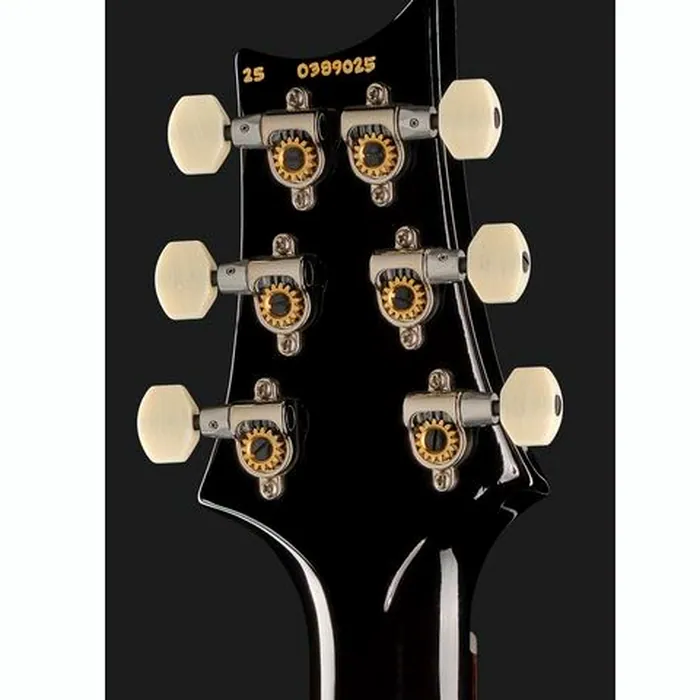PRS PRS DGT Moons BW – photo 9