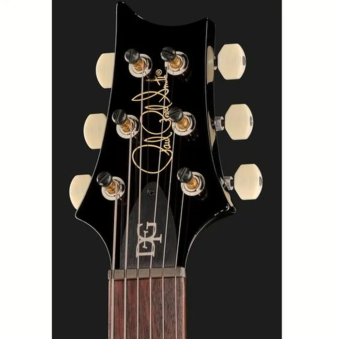 PRS PRS DGT Moons BW – photo 8