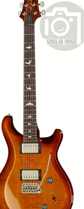 PRS S2 Custom 22 AS