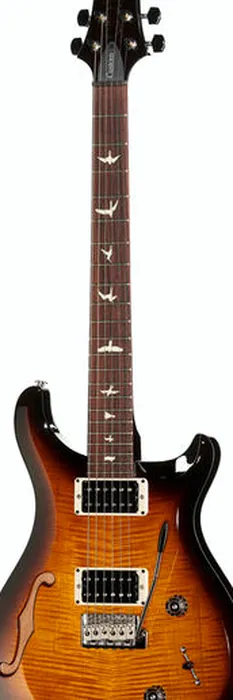 PRS S2 Custom 22 Semi-Hollow CC