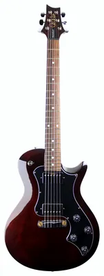 PRS S2 Singlecut Standard Dots VM