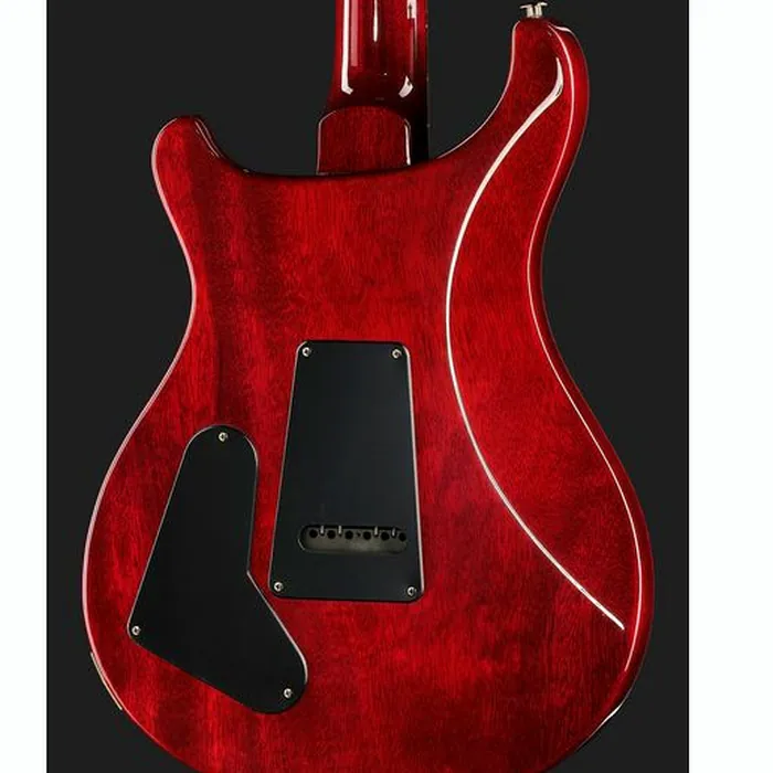PRS S2 Special Semi-Hollow FR – photo 7