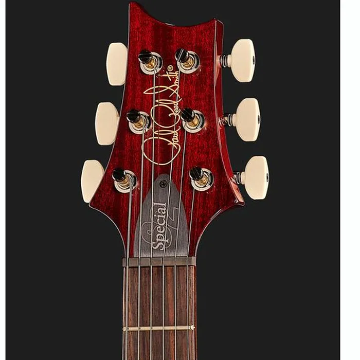 PRS S2 Special Semi-Hollow FR – photo 8