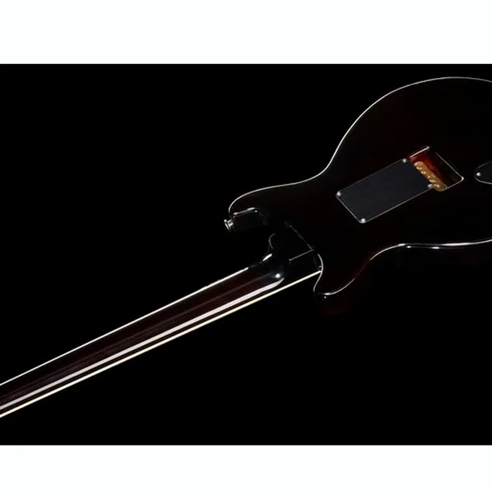 PRS Santana Retro BW – photo 10