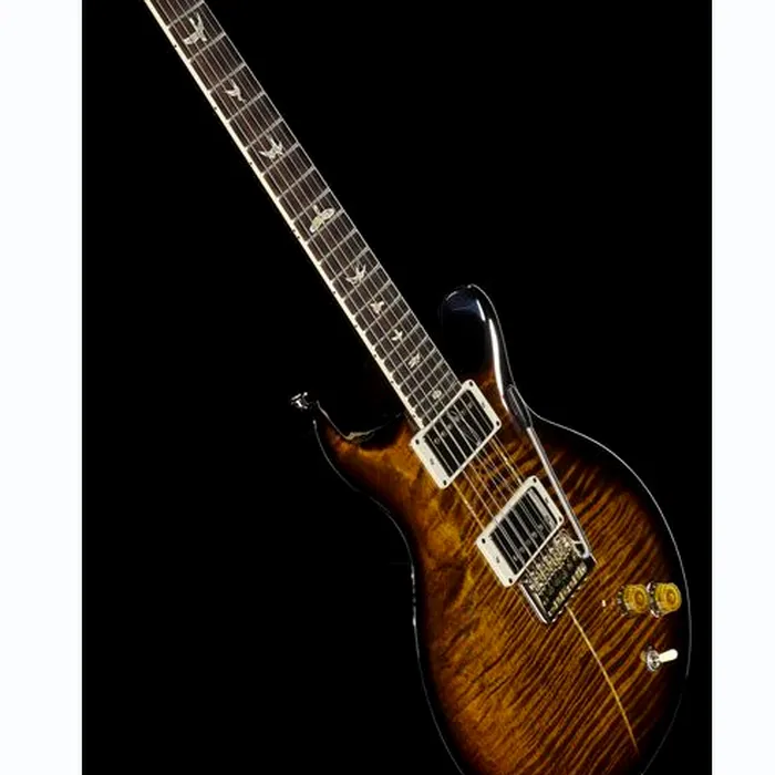 PRS Santana Retro BW – photo 12
