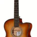 Guitare acoustique PRS SE A50E VS | Test, Avis & Comparatif