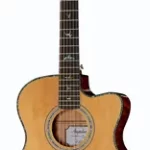 Guitare acoustique PRS SE A55E BG | Test, Avis & Comparatif