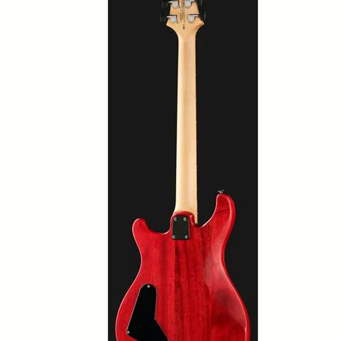 PRS SE CE24 Standard Stoptail SVC – photo 5