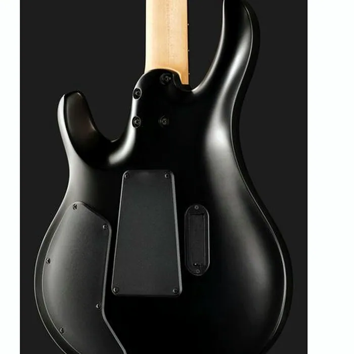 PRS SE Chleo Herman Li CPB – photo 7