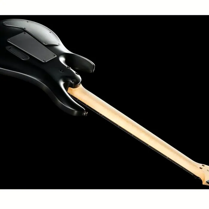 PRS SE Chleo Herman Li CPB – photo 12