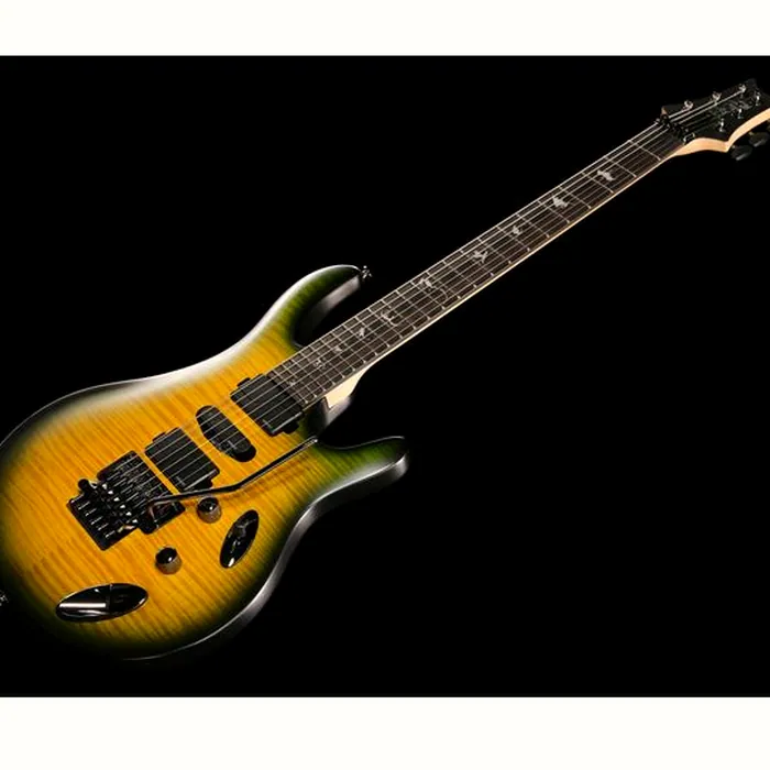 PRS SE Chleo Herman Li MB – photo 10