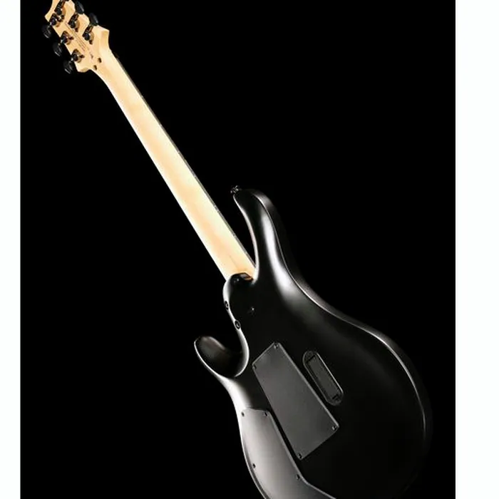 PRS SE Chleo Herman Li MB – photo 11