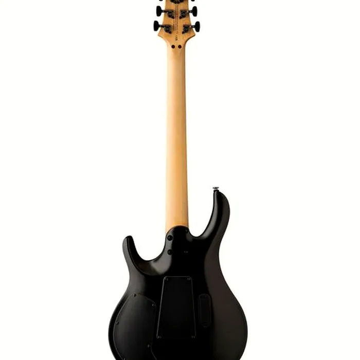 PRS SE Chleo Herman Li OD – photo 4