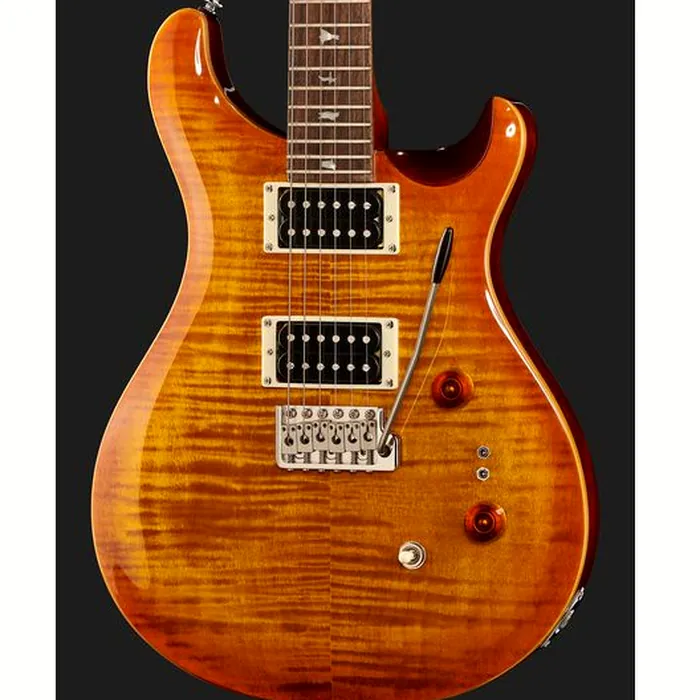 PRS SE Custom 24/08 VS – photo 6