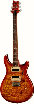 PRS SE Custom 24 Burled Ash