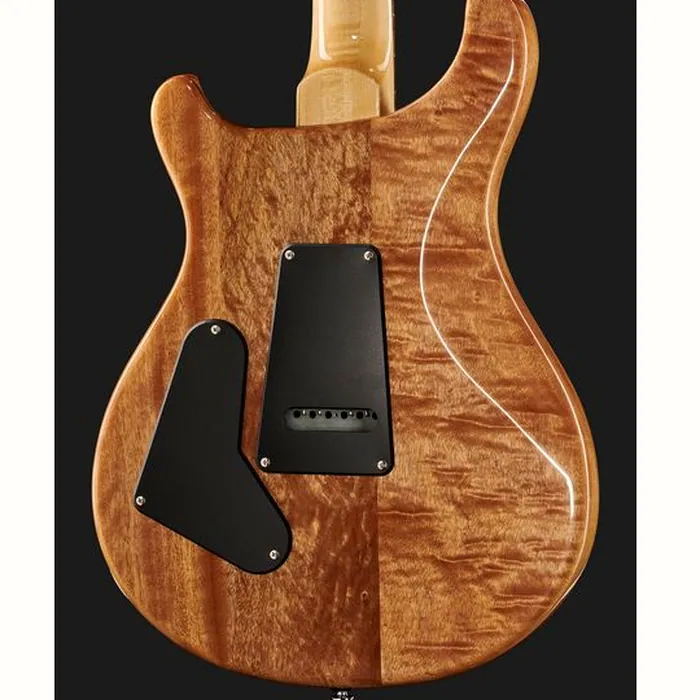 PRS SE Custom 24 CH – photo 7