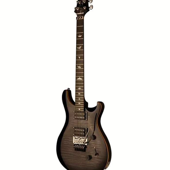 PRS SE Custom 24 Floyd CA – photo 5