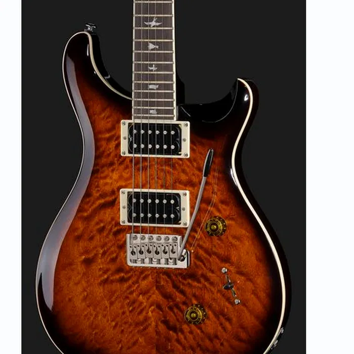 PRS SE Custom 24 Quilt BG – photo 6