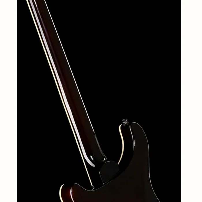PRS SE Custom 24 Quilt BG – photo 12
