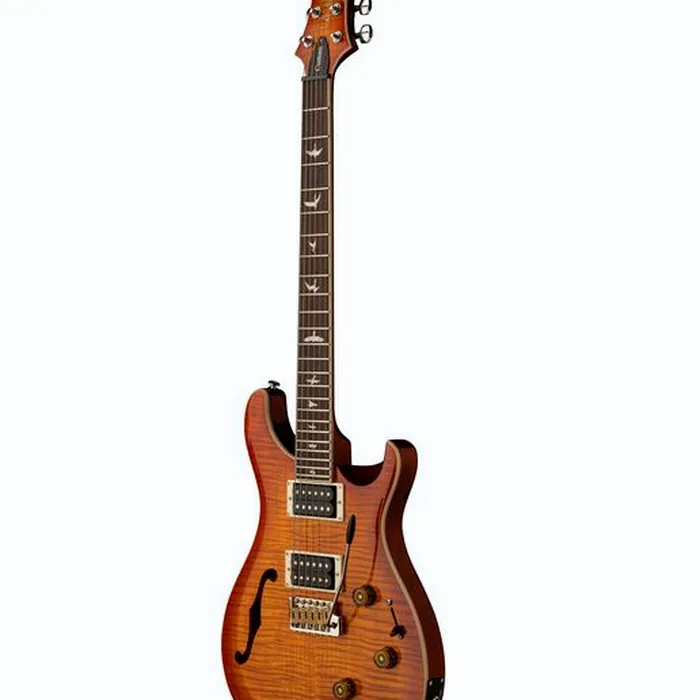 PRS SE Custom 24 Semi-Hollow VS – photo 5