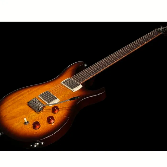 PRS SE DGT Standard Moons MTS – photo 10