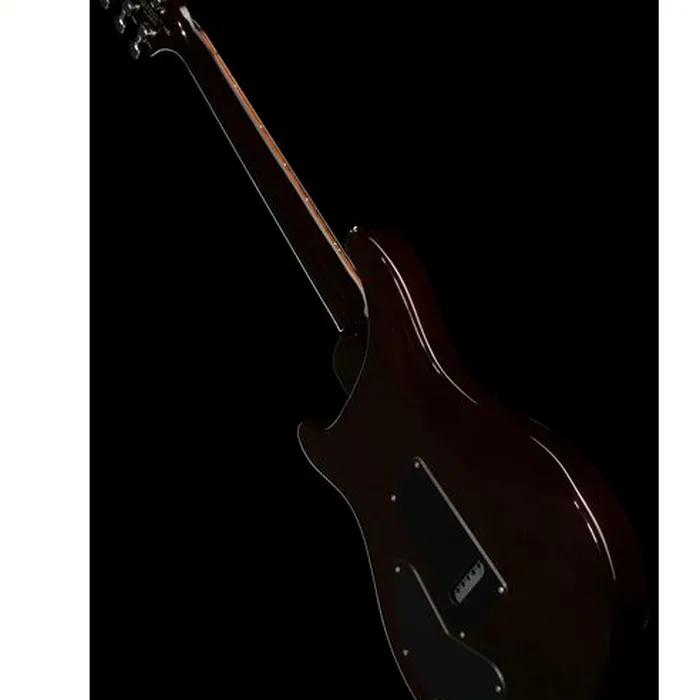 PRS SE DGT Standard Moons MTS – photo 11