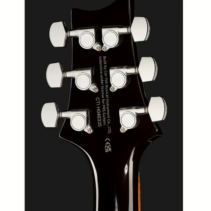 PRS SE DGT Standard Moons MTS – photo 9