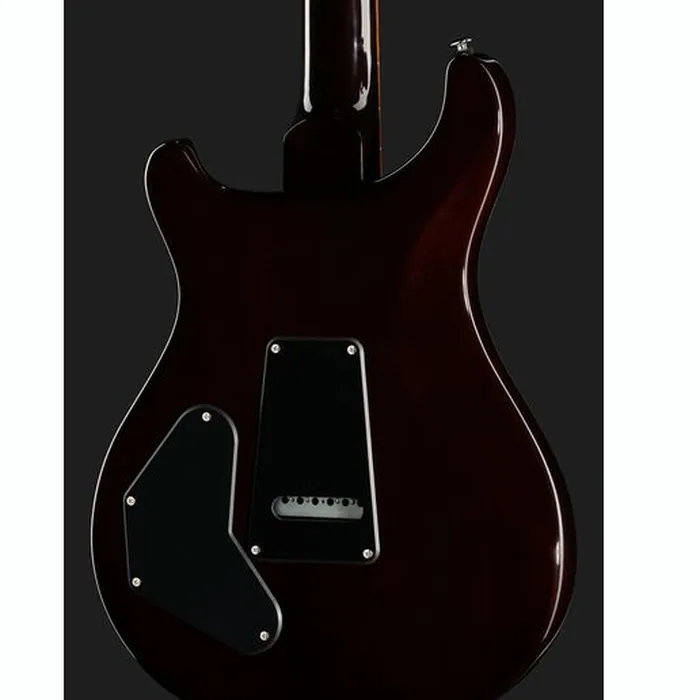 PRS SE DGT Standard Moons MTS – photo 7