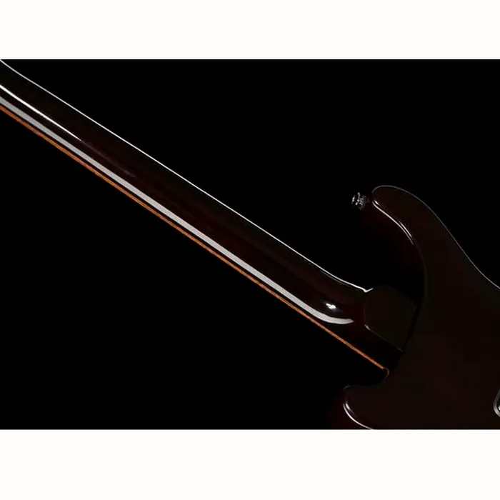 PRS SE DGT Standard Moons MTS – photo 12
