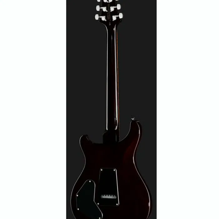 PRS SE DGT Standard Moons MTS – photo 5