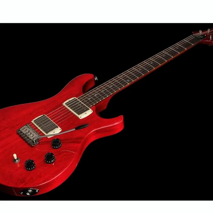 PRS SE DGT Standard Moons VC – photo 10