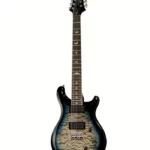 PRS SE Mark Holcomb SVN HL (Guitare électrique) , Test, Avis et Comparatif