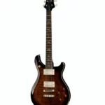Avis sur PRS SE McCarty 594 BG – Test guitare électrique