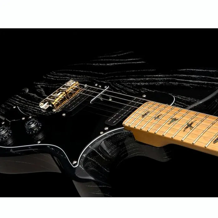 PRS SE NF 53 Black Doghair – photo 7