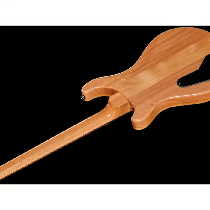 PRS SE Pauls Guitar CH – photo 10