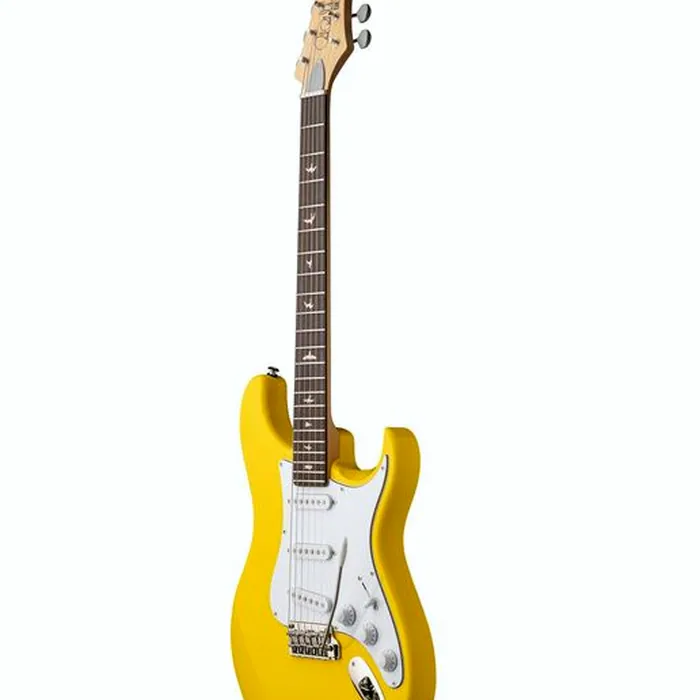 PRS SE Silver Sky Dandy Lion – photo 5