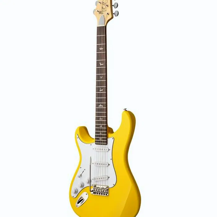 PRS SE Silver Sky Dandy Lion LH – photo 4