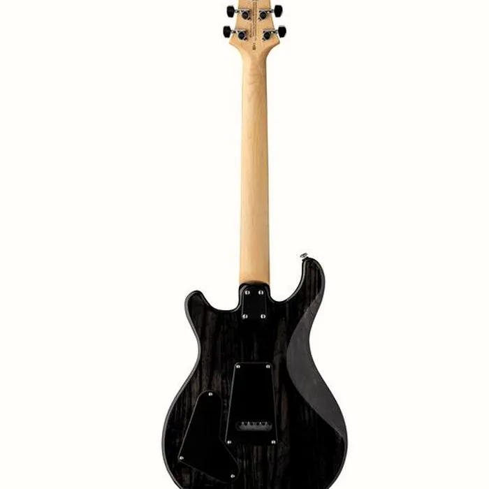 PRS SE Swamp Ash Special CH – photo 4