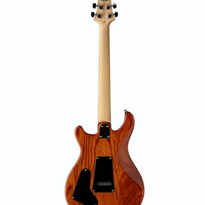 PRS SE Swamp Ash Special VS – photo 4