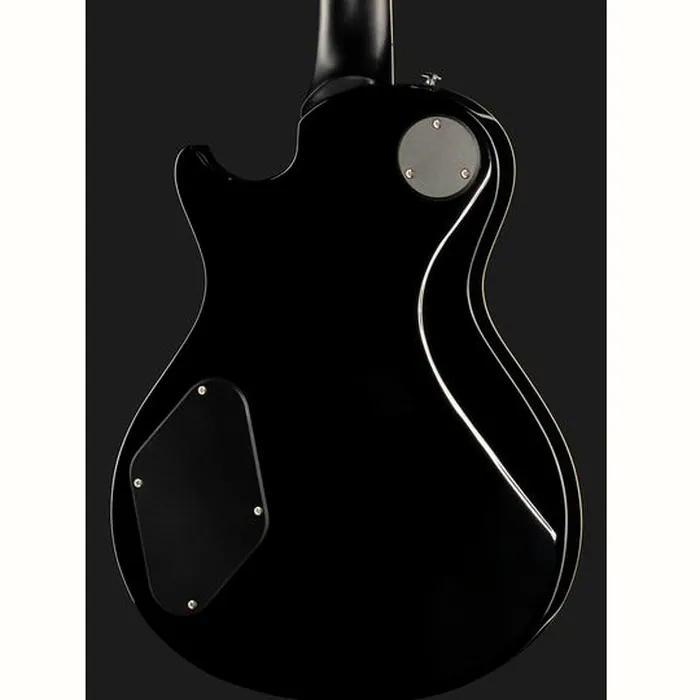 PRS SE Zach Myers EB – photo 7