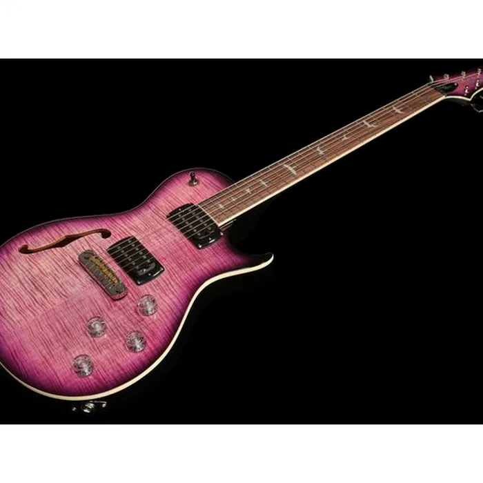PRS SE Zach Myers EB – photo 10