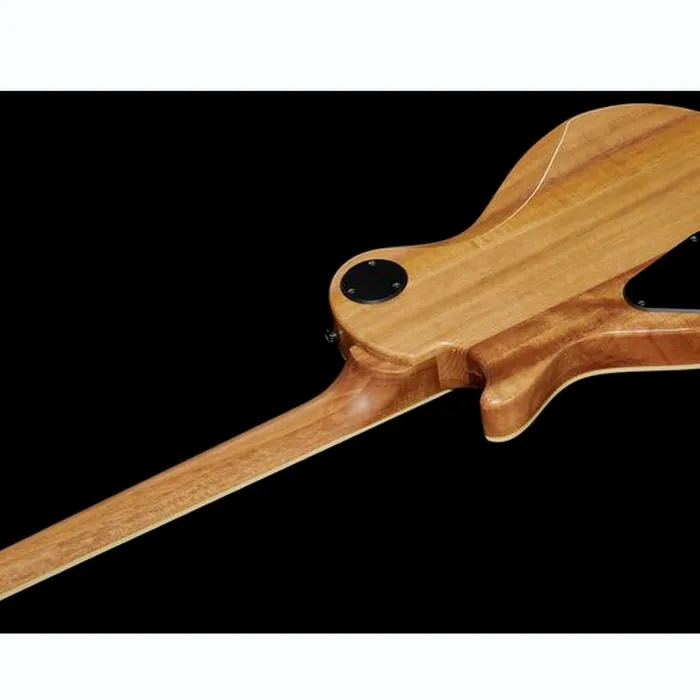 PRS SE Zach Myers MB – photo 10
