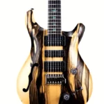 PRS Special 22 SH Private Stock (Guitare électrique) Avis & Test