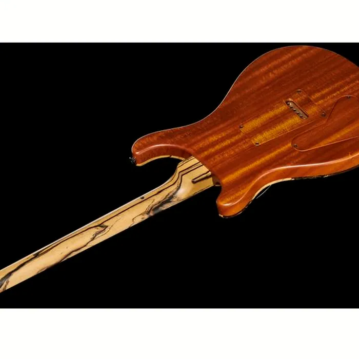 PRS Special 22 SH PS Pale Moon – photo 10