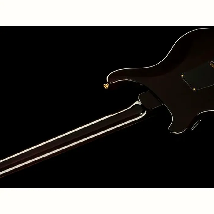PRS Special S/H 10 Top BGWB – photo 12