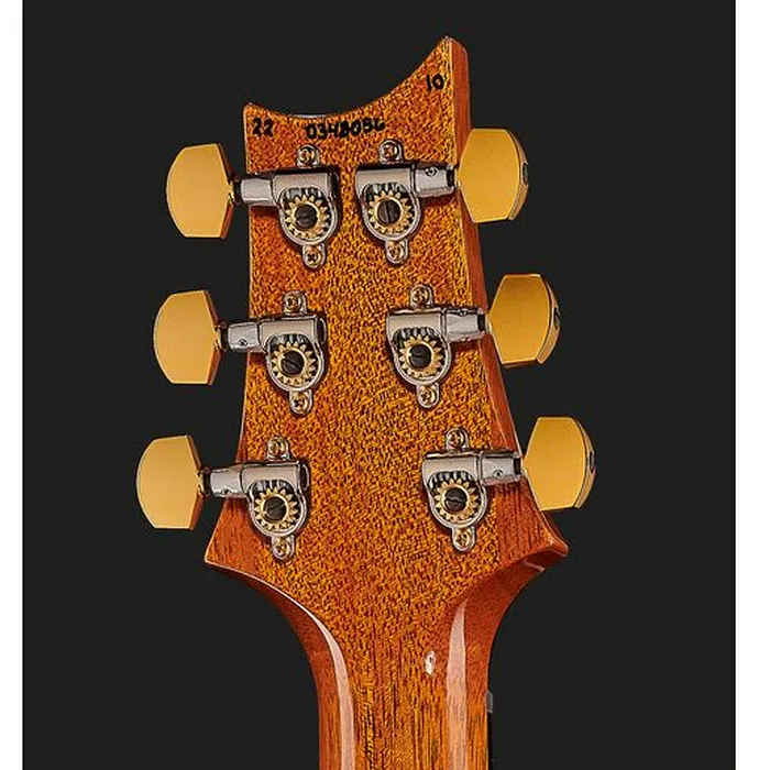 PRS Special Semi-Hollow 10 Top ER – photo 9