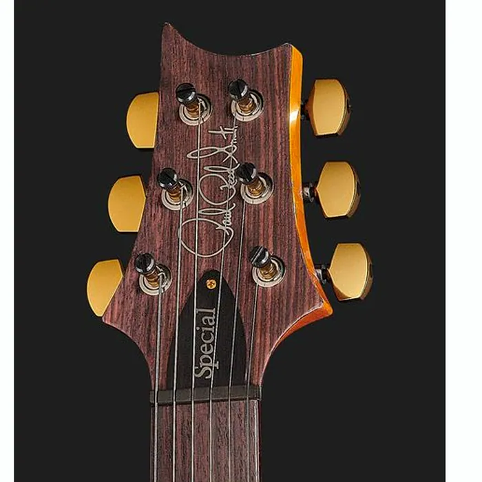 PRS Special Semi-Hollow 10 Top ER – photo 8