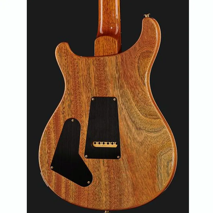 PRS Special Semi-Hollow 10 Top ER – photo 7