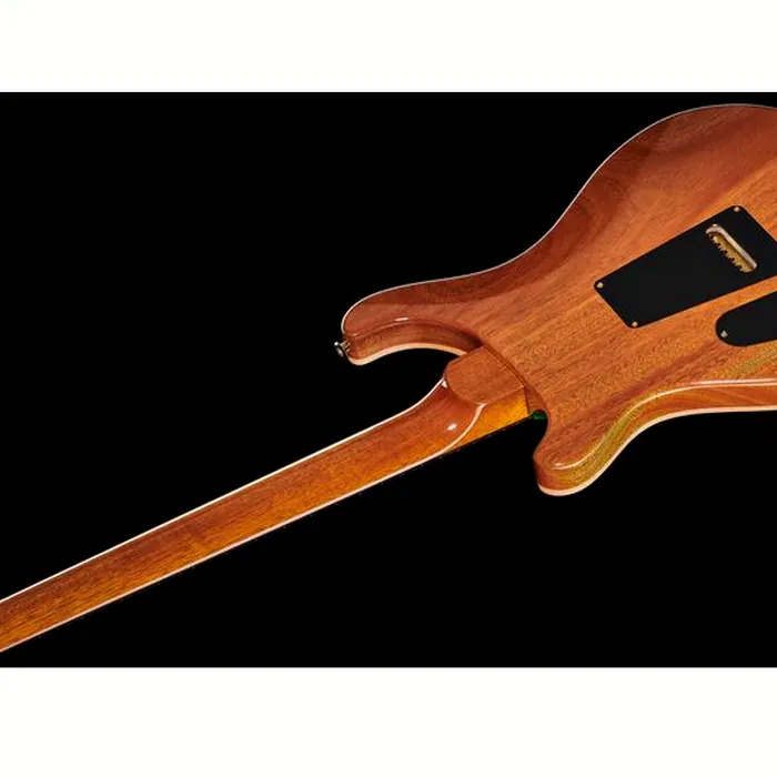 PRS Special Semi-Hollow 10 Top ER – photo 10